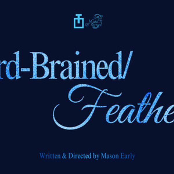 BIRD-BRAINED / FEATHERS to Make World Premiere at The Tank NYC Photo