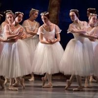 Review: SUMMERSNOW at Maynardville Open-Air Festival Delights and Entrances