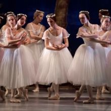 Review: SUMMERSNOW at Maynardville Open-Air Festival Delights and Entrances