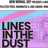 LINES IN THE DUST Starring Jeffrey Bean, Melissa Joyner & Lisa Rosetta Strum to be…