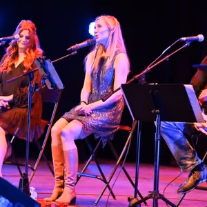 DESERT ROCK Concert is Coming to Raue Center For The Arts