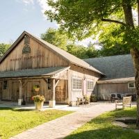 Dorset Theatre Festival Suspends 2020 Season