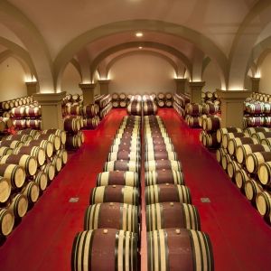 Savor ARGENTIERA WINES from Tuscany