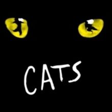 Ballroom Scene Inspired CATS Workshop To Be Held At Ronald O. Perelman Performing Art