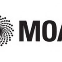 MOA Explores Boundaries Of Ceramic Art With Premiere Exhibition PLAYING WITH FIRE