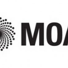 MOA Explores Boundaries Of Ceramic Art With Premiere Exhibition PLAYING WITH FIRE