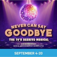 NEVER CAN SAY GOODBYE: THE '70S BEEHIVE MUSICAL to Open at Actors Theatre of Indiana