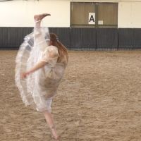 Constructed Sight Dance Film Festival to Be Held Beginning This Month