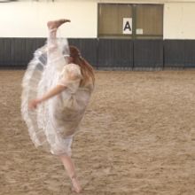 Constructed Sight Dance Film Festival to Be Held Beginning This Month