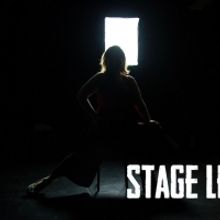 STAGE LEFT, A Documentary Web Series That Explores Theatre And Community, Will Debut 