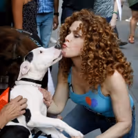 VIDEO: Watch Lin-Manuel Miranda, Bette Midler, Josh Groban and More Join Bernadette…