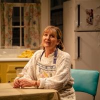 BWW Review: SHIRLEY VALENTINE at Berkshire Theatre Group Reminds That Most “Don't Do…