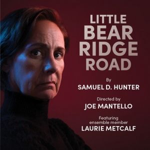 Spotlight: LAURIE METCALF at Steppenwolf