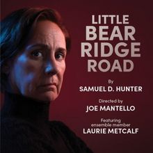 Spotlight: LAURIE METCALF at Steppenwolf