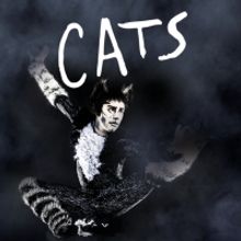 Broadway in Cheyenne Announces Four Shows Coming to Cheyenne Civic Center