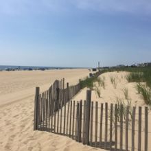 Student Blog: 10 Alternatives to Popular Soprano/Alto Audition Songs