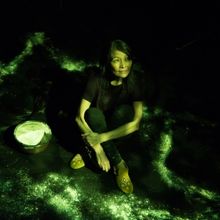 INNER ELDER Begins At Firehall Arts Centre In May