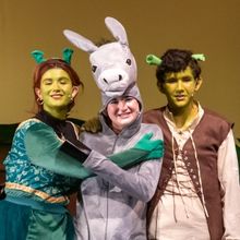 BOCES Long Island High School To Award Fifteen Music Scholarships