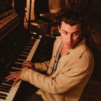 Shawn Mendes to Perform at the 2020 TIFF Tribute Awards