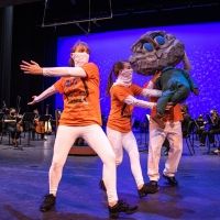 Palm Beach Symphony Offers Free Virtual Concert To Families