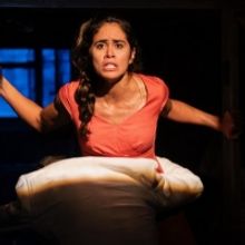 Boundless Theatre Company Will Open New York Premiere of FUR by Migdalia Cruz