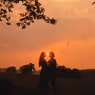THE PRINCESS BRIDE Musical Moves Forward With New Development Work Session This Fall