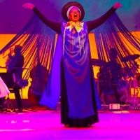 Final Week to see DREAMING ZENZILE!