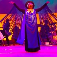 Final Week to see DREAMING ZENZILE!