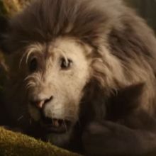 Jon M. Chu Teases Secret Celebrity Casting for Cowardly Lion in WICKED: FOR GOOD