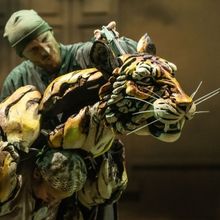 Review: THE LIFE OF PI at The Hippodrome