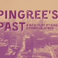 Wayne State University Students Will Perform PINGREE'S PAST