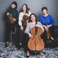 Cassatt String Quartet Welcomes Violist Rosemary Nelis And Cellist Gwen Krosnick To T Interview