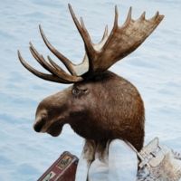 MOOSE ON THE LOOSE Opens April 14 At Theatre West