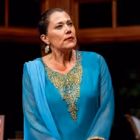 BWW Interview: Roxane Carrasco of MARGIN OF ERROR at The Roustabouts Theatre Co
