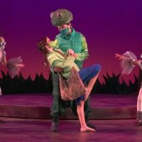 VIDEO: First Look At Stages Theatre Company's THE NORTH STAR