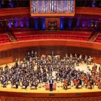 PYO Music Institute Announces In-Person Auditions For 2022-2023 Season Interview