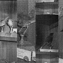 Resonant Threads Collective Will Host AIR/MOTION