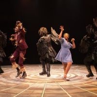 BWW Review: Ease On Down the Road to See THE WIZ at Broadway at Music Circus!