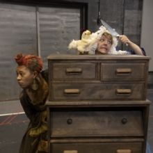 BWW Review: MARTHA BAKES at CoHo Theatre