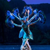 Spencer Theater Presents State Street Ballet in THE JUNGLE BOOK