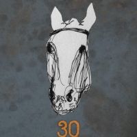 The Frames Announce U.S. 30th Anniversary Shows