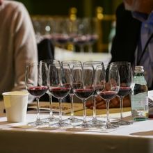 New York Wine Industry Unites to Celebrate CABERNET FRANC