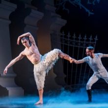 BWW Review: MATTHEW BOURNE'S SWAN LAKE, Sadler's Wells