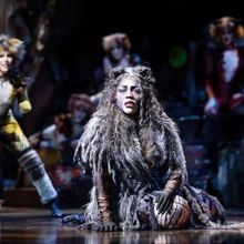 Final Perth Tickets Now On Sale For CATS