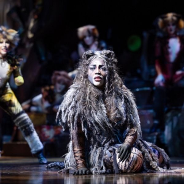 Final Perth Tickets Now On Sale For CATS Photo