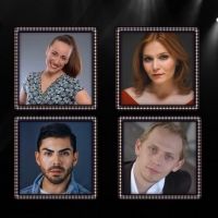 A SERIES OF ONE NIGHT STANDS Announced At Fountain Hills Theater