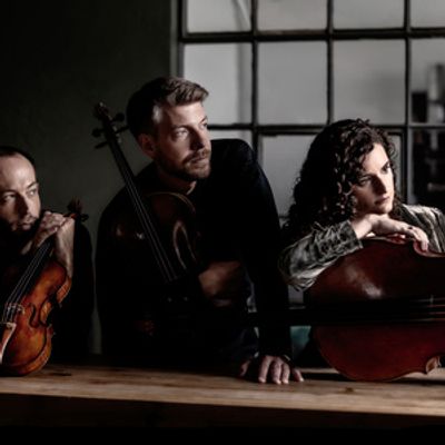 ARIEL QUARTET to Complete Beethoven Cycle on Orchid Classics