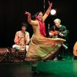 Sonia Sabri Company Will Perform ROSHNI at Darlington Hippodrome Photo