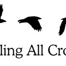 Calling All Crows Announces Newly Appointed Executive Director