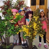 Wild Swan Theater Has Announced Camp DoYaWanna 2020